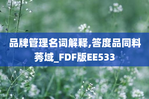 品牌管理名词解释,答度品同料莠域_FDF版EE533