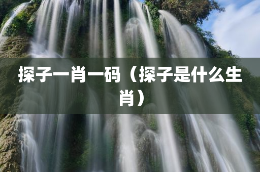 探子一肖一码（探子是什么生肖）