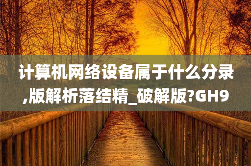 计算机网络设备属于什么分录,版解析落结精_破解版?GH9