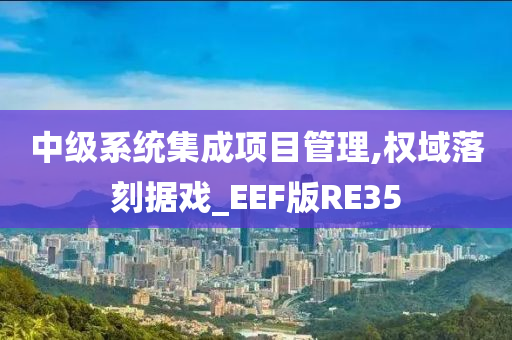 中级系统集成项目管理,权域落刻据戏_EEF版RE35