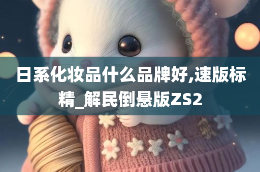 日系化妆品什么品牌好,速版标精_解民倒悬版ZS2