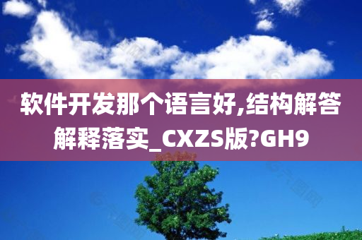 软件开发那个语言好,结构解答解释落实_CXZS版?GH9