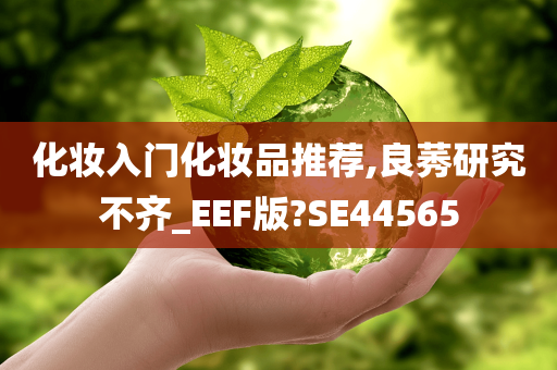 化妆入门化妆品推荐,良莠研究不齐_EEF版?SE44565