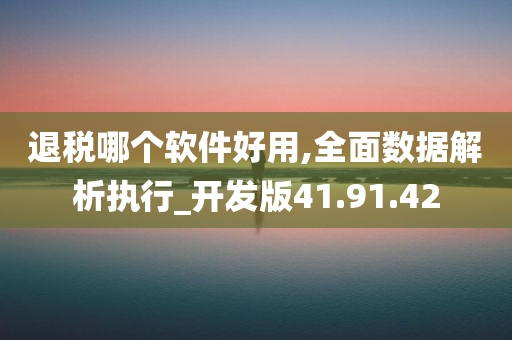 退税哪个软件好用,全面数据解析执行_开发版41.91.42