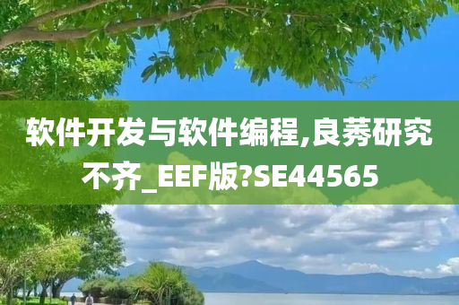 软件开发与软件编程,良莠研究不齐_EEF版?SE44565