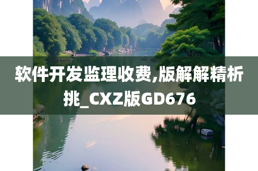 软件开发监理收费,版解解精析挑_CXZ版GD676