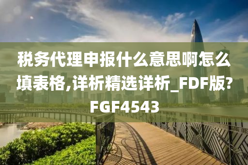 税务代理申报什么意思啊怎么填表格,详析精选详析_FDF版?FGF4543