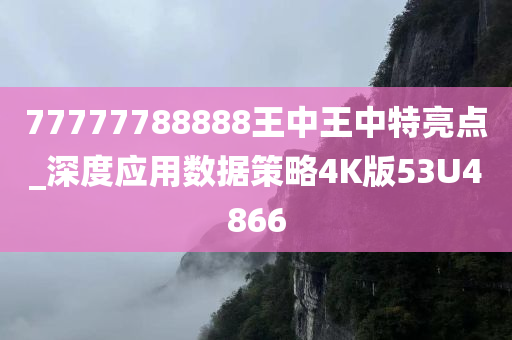 77777788888王中王中特亮点_深度应用数据策略4K版53U4866