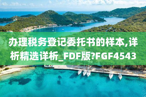 办理税务登记委托书的样本,详析精选详析_FDF版?FGF4543