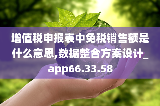 增值税申报表中免税销售额是什么意思,数据整合方案设计_app66.33.58