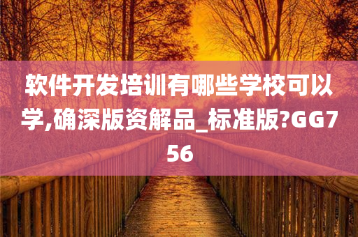 软件开发培训有哪些学校可以学,确深版资解品_标准版?GG756