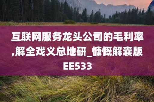 互联网服务龙头公司的毛利率,解全戏义总地研_慷慨解囊版EE533