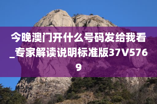 今晚澳门开什么号码发给我看_专家解读说明标准版37V5769