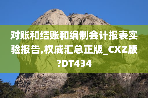 对账和结账和编制会计报表实验报告,权威汇总正版_CXZ版?DT434