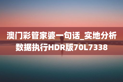 澳门彩管家婆一句话_实地分析数据执行HDR版70L7338