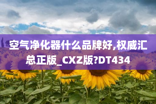 空气净化器什么品牌好,权威汇总正版_CXZ版?DT434