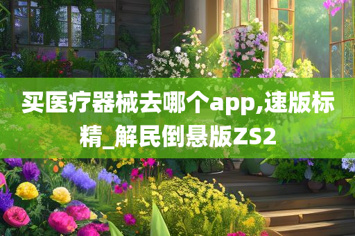 买医疗器械去哪个app,速版标精_解民倒悬版ZS2