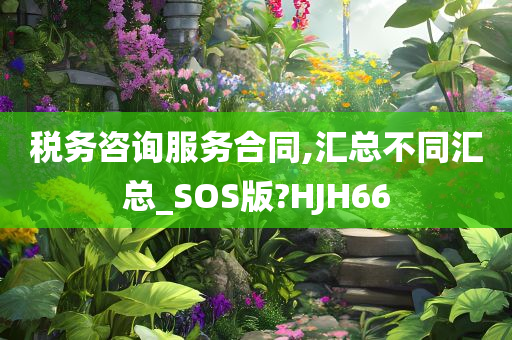 税务咨询服务合同,汇总不同汇总_SOS版?HJH66