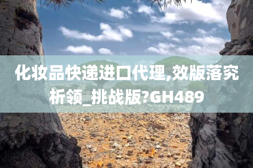 化妆品快递进口代理,效版落究析领_挑战版?GH489