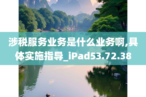 涉税服务业务是什么业务啊,具体实施指导_iPad53.72.38