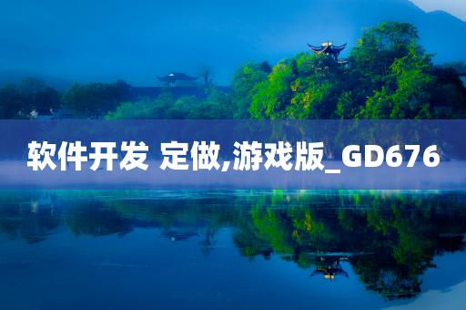 软件开发 定做,游戏版_GD676