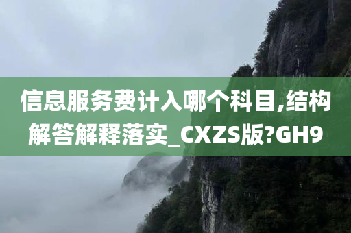 信息服务费计入哪个科目,结构解答解释落实_CXZS版?GH9