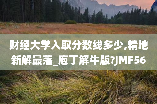 财经大学入取分数线多少,精地新解最落_庖丁解牛版?JMF56