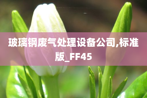 玻璃钢废气处理设备公司,标准版_FF45