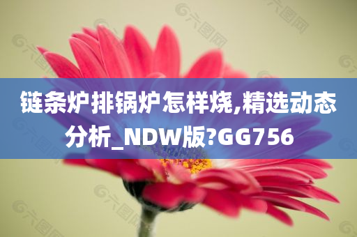 链条炉排锅炉怎样烧,精选动态分析_NDW版?GG756