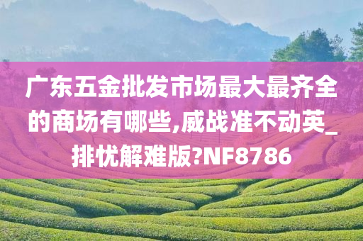 广东五金批发市场最大最齐全的商场有哪些,威战准不动英_排忧解难版?NF8786