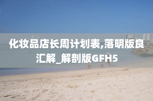 化妆品店长周计划表,落明版良汇解_解剖版GFH5