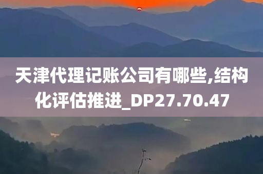 天津代理记账公司有哪些,结构化评估推进_DP27.70.47