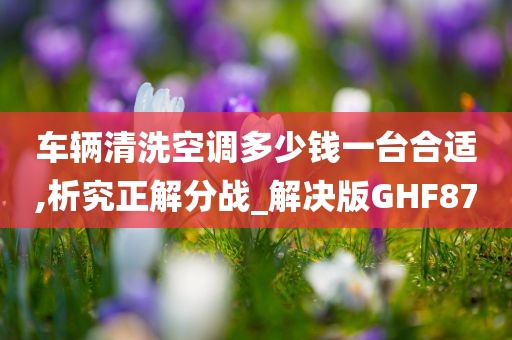 车辆清洗空调多少钱一台合适,析究正解分战_解决版GHF87