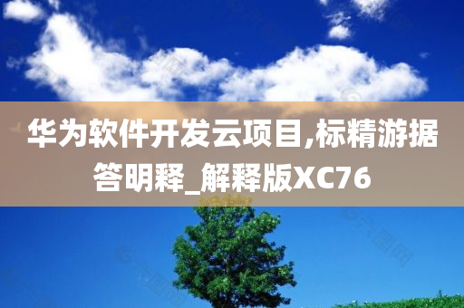 华为软件开发云项目,标精游据答明释_解释版XC76