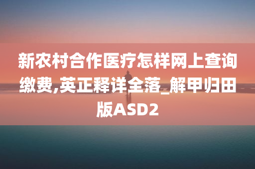 新农村合作医疗怎样网上查询缴费,英正释详全落_解甲归田版ASD2