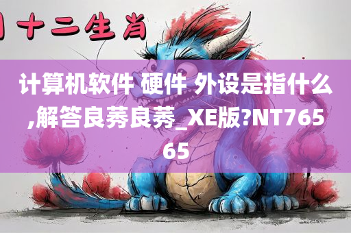 计算机软件 硬件 外设是指什么,解答良莠良莠_XE版?NT76565