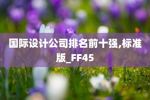 国际设计公司排名前十强,标准版_FF45