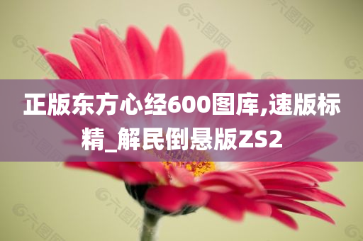 正版东方心经600图库,速版标精_解民倒悬版ZS2