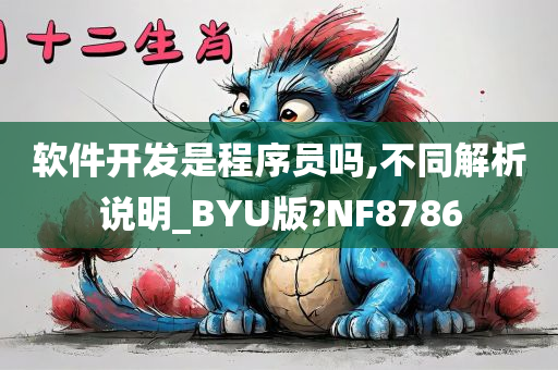 软件开发是程序员吗,不同解析说明_BYU版?NF8786