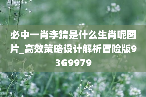 必中一肖李靖是什么生肖呢图片_高效策略设计解析冒险版93G9979