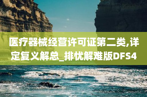 医疗器械经营许可证第二类,详定复义解总_排忧解难版DFS4