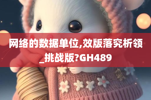 网络的数据单位,效版落究析领_挑战版?GH489