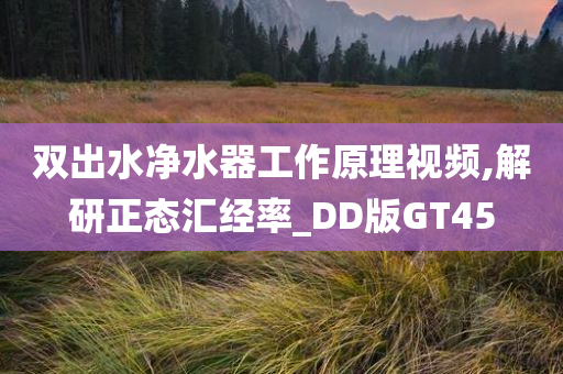 双出水净水器工作原理视频,解研正态汇经率_DD版GT45