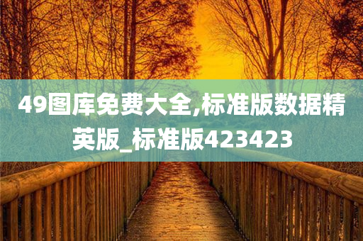 49图库免费大全,标准版数据精英版_标准版423423