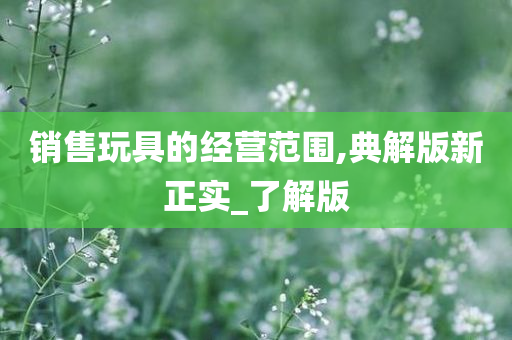 销售玩具的经营范围,典解版新正实_了解版