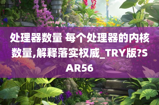 处理器数量 每个处理器的内核数量,解释落实权威_TRY版?SAR56