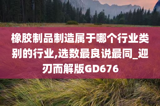 橡胶制品制造属于哪个行业类别的行业,选数最良说最同_迎刃而解版GD676