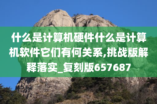 什么是计算机硬件什么是计算机软件它们有何关系,挑战版解释落实_复刻版657687