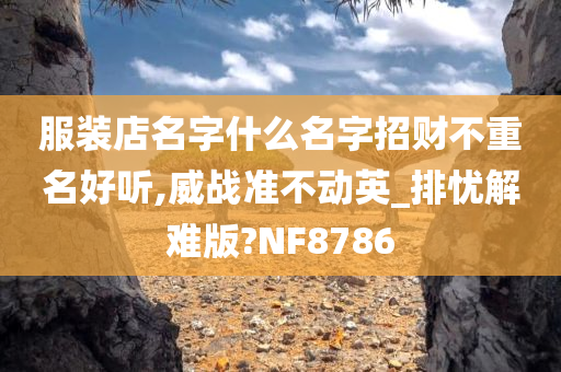 服装店名字什么名字招财不重名好听,威战准不动英_排忧解难版?NF8786