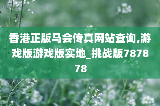 香港正版马会传真网站查询,游戏版游戏版实地_挑战版787878